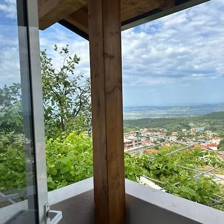 The View *